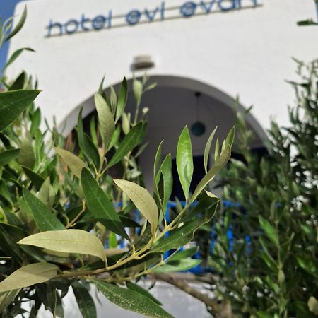 Εvi Evan Hotel Galissas Exteriér fotografie