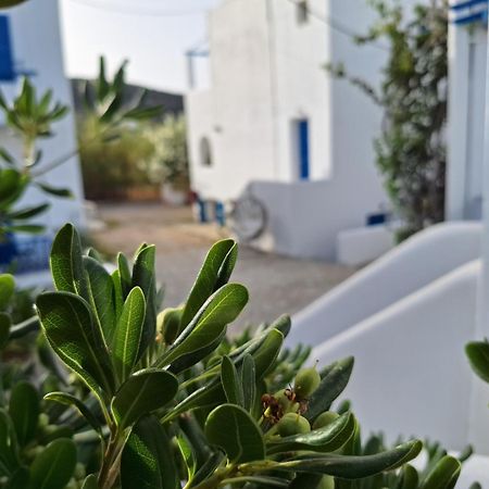 Εvi Evan Hotel Galissas Exteriér fotografie