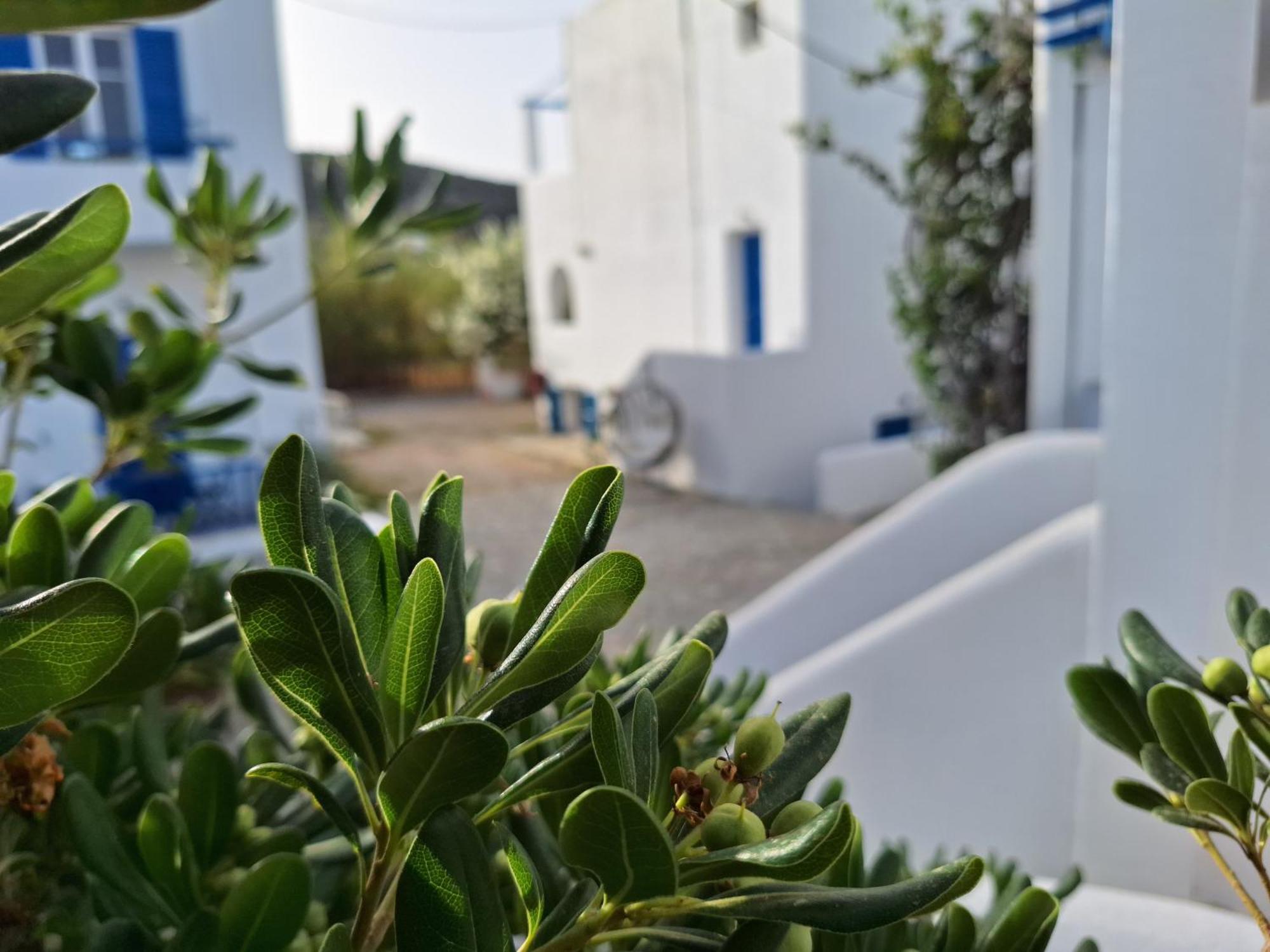 Εvi Evan Hotel Galissas Exteriér fotografie
