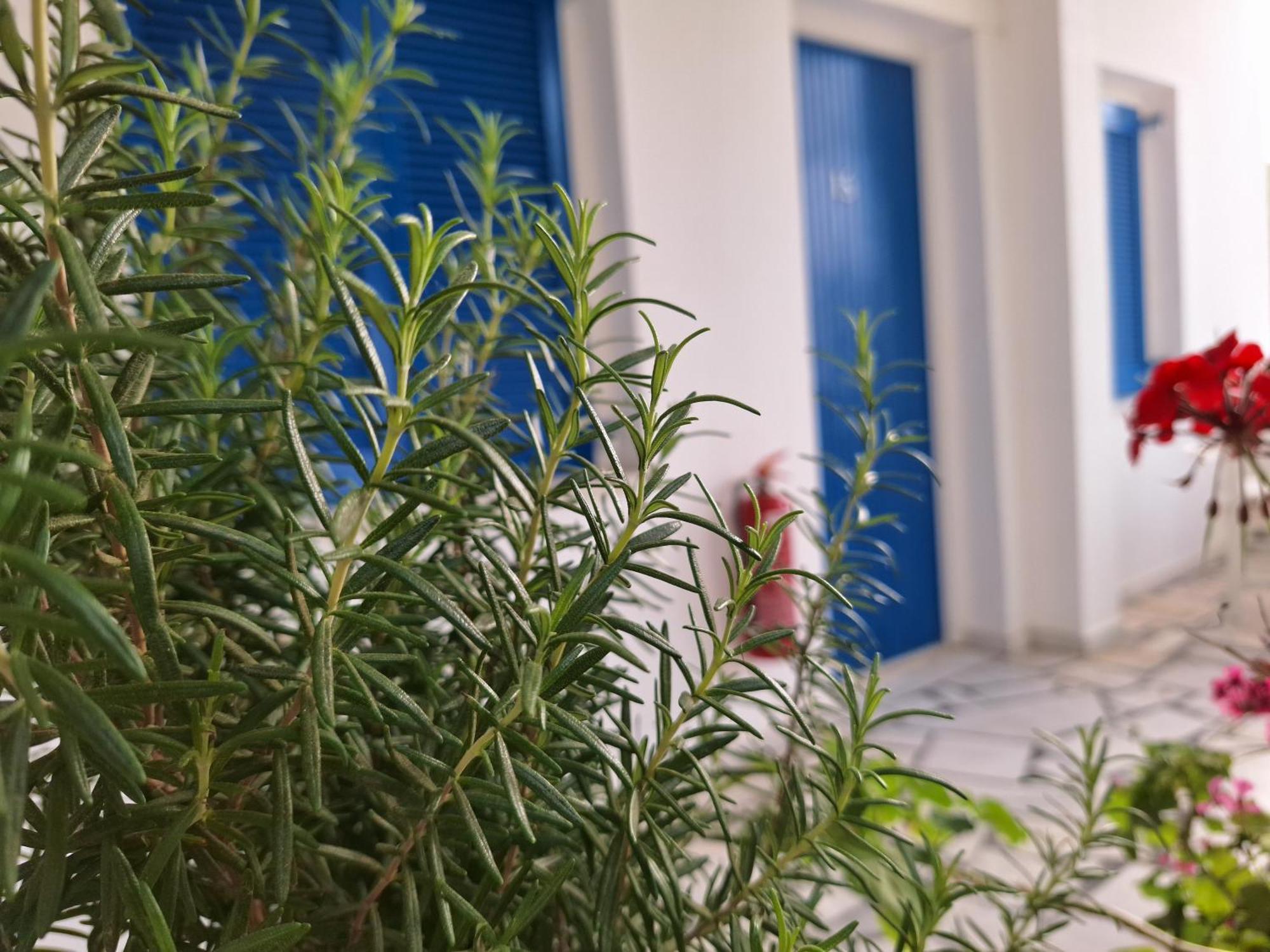 Εvi Evan Hotel Galissas Exteriér fotografie