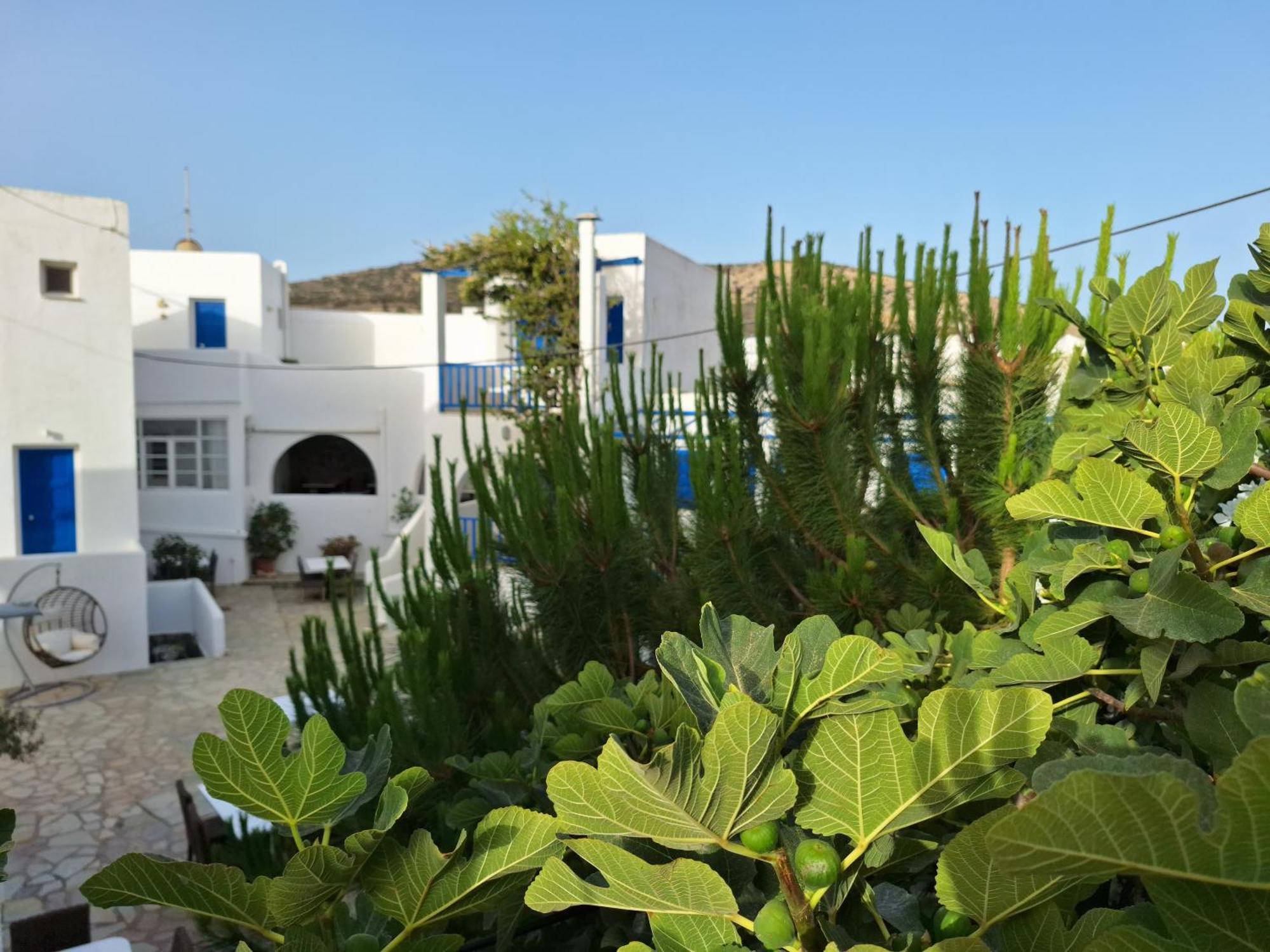 Εvi Evan Hotel Galissas Exteriér fotografie