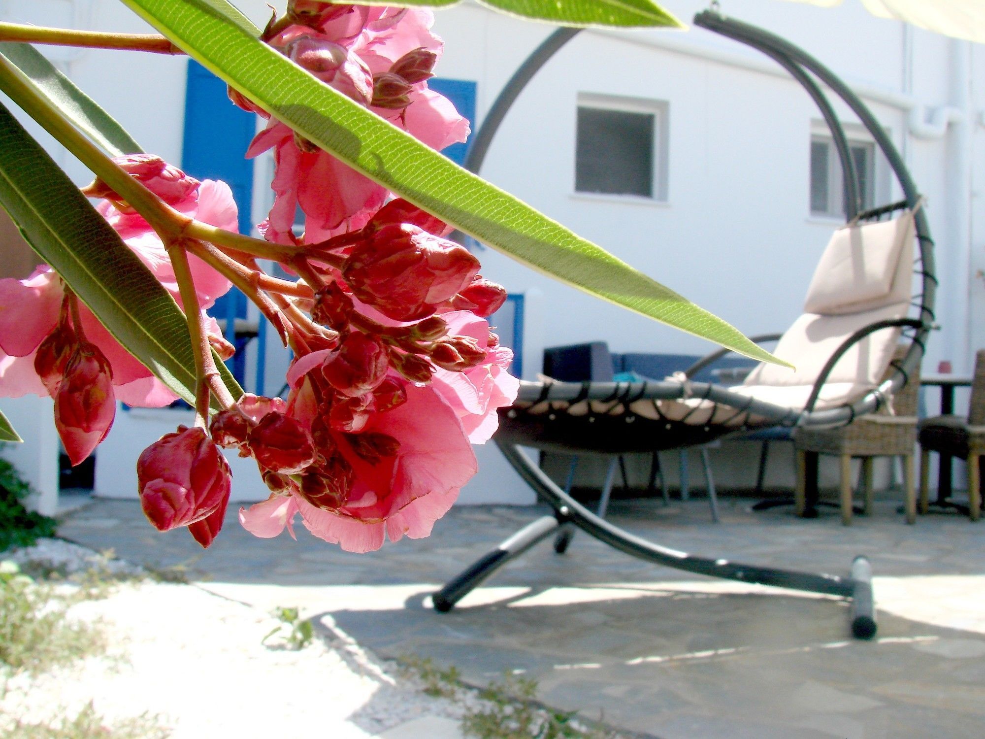 Εvi Evan Hotel Galissas Exteriér fotografie